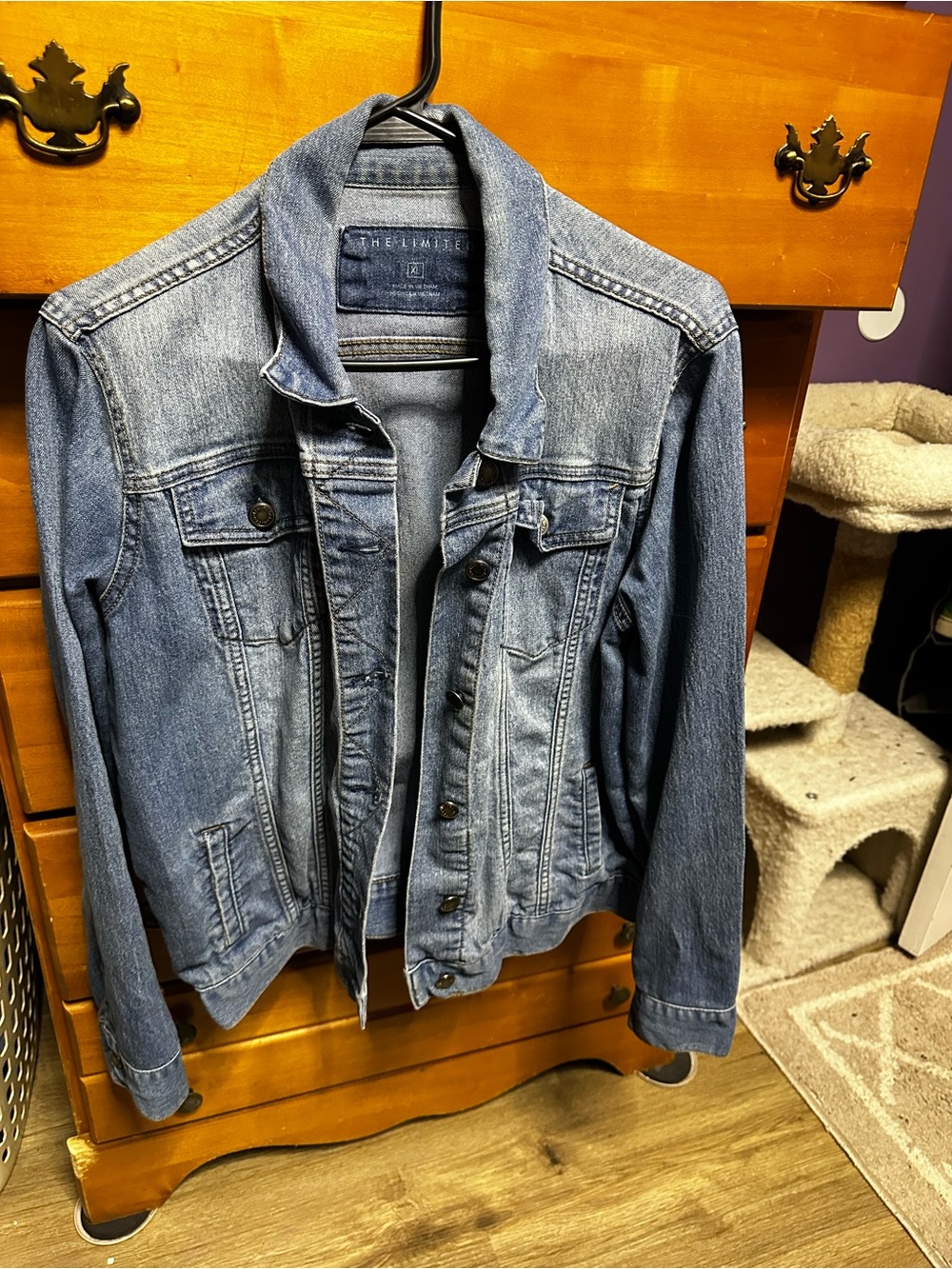 The Limited Blue Denim Trucker Jacket